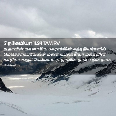 Picture 02 - நெகேமியா 11:24 TAMIRV - யூதாவின் மகனாகிய - Bible Verse Picture