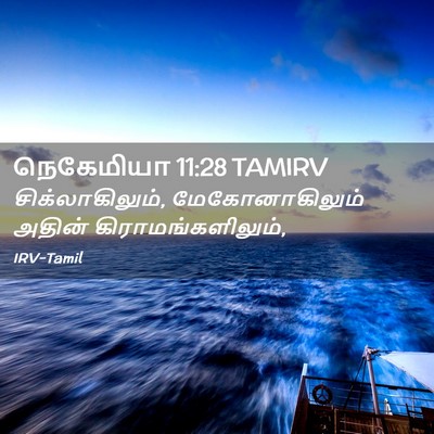 Picture 02 - நெகேமியா 11:28 TAMIRV - சிக்லாகிலும், - Bible Verse Picture