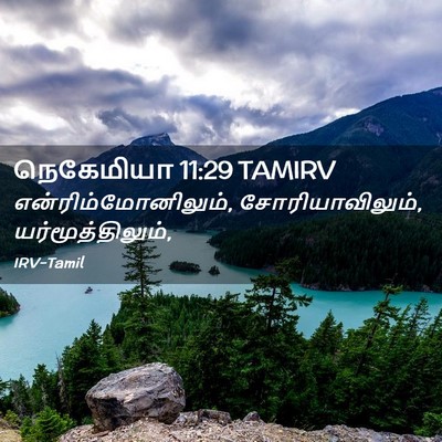 Picture 02 - நெகேமியா 11:29 TAMIRV - என்ரிம்மோனிலும், - Bible Verse Picture