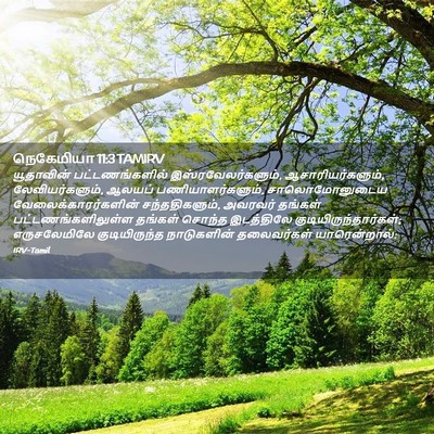 Picture 02 - நெகேமியா 11:3 TAMIRV - யூதாவின் - Bible Verse Picture