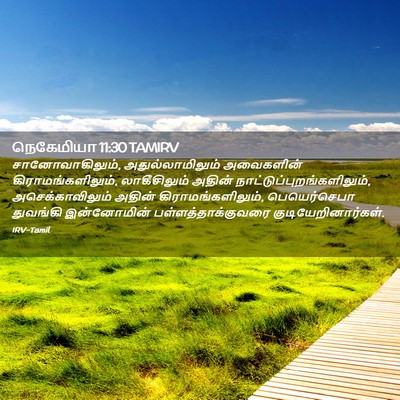 Picture 02 - நெகேமியா 11:30 TAMIRV - சானோவாகிலும், - Bible Verse Picture