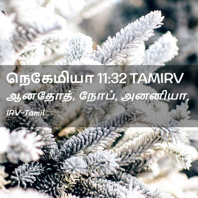 Picture 02 - நெகேமியா 11:32 TAMIRV - ஆனதோத், நோப், - Bible Verse Picture