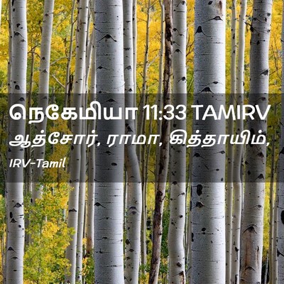 Picture 02 - நெகேமியா 11:33 TAMIRV - ஆத்சோர், ராமா, - Bible Verse Picture