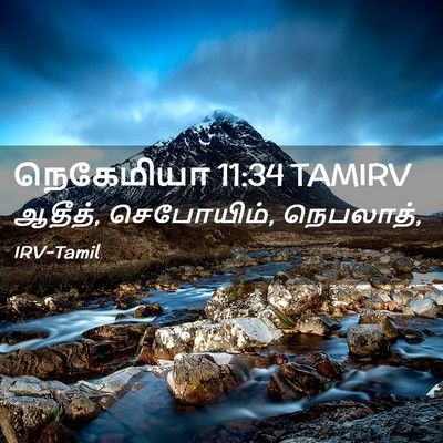 Picture 02 - நெகேமியா 11:34 TAMIRV - ஆதீத், செபோயிம், - Bible Verse Picture
