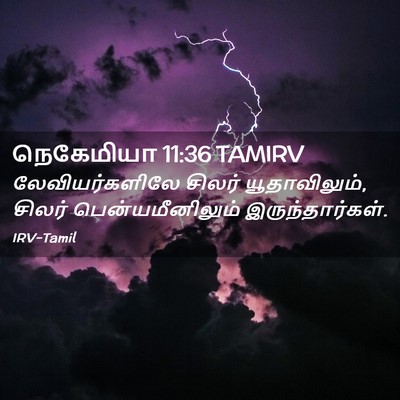 Picture 02 - நெகேமியா 11:36 TAMIRV - லேவியர்களிலே - Bible Verse Picture