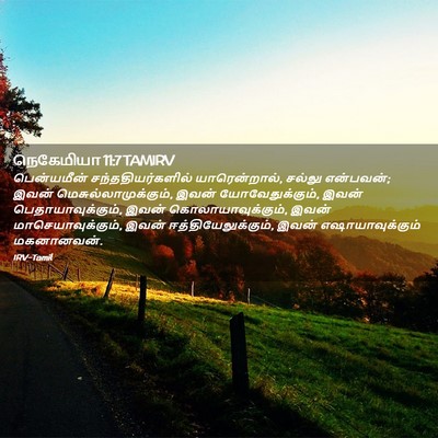 Picture 02 - நெகேமியா 11:7 TAMIRV - பென்யமீன் - Bible Verse Picture