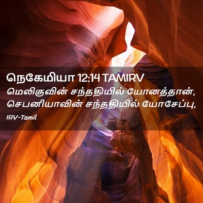 Picture 02 - நெகேமியா 12:14 TAMIRV - மெலிகுவின் - Bible Verse Picture