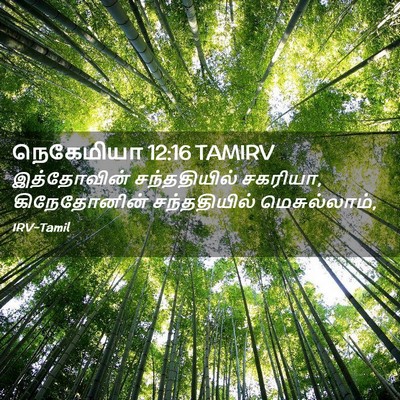 Picture 02 - நெகேமியா 12:16 TAMIRV - இத்தோவின் - Bible Verse Picture
