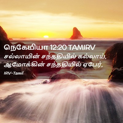 Picture 02 - நெகேமியா 12:20 TAMIRV - சல்லாயின் - Bible Verse Picture