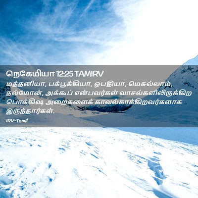 Picture 02 - நெகேமியா 12:25 TAMIRV - மத்தனியா, - Bible Verse Picture