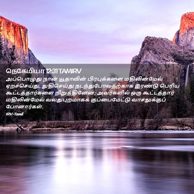 Picture 02 - நெகேமியா 12:31 TAMIRV - அப்பொழுது நான் - Bible Verse Picture