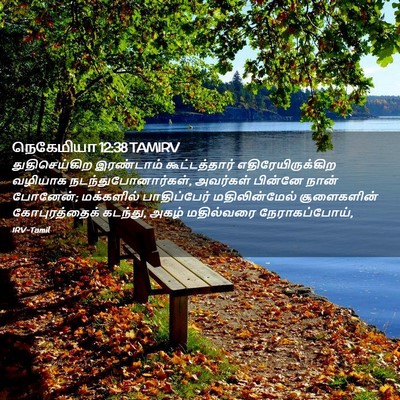 Picture 02 - நெகேமியா 12:38 TAMIRV - துதிசெய்கிற - Bible Verse Picture