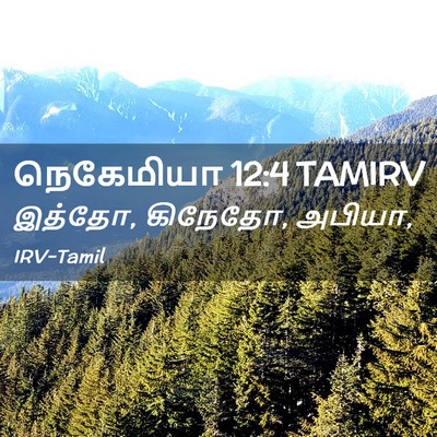 Picture 02 - நெகேமியா 12:4 TAMIRV - இத்தோ, கிநேதோ, - Bible Verse Picture