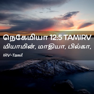 Picture 02 - நெகேமியா 12:5 TAMIRV - மியாமின், மாதியா, - Bible Verse Picture