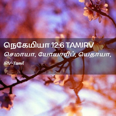 Picture 02 - நெகேமியா 12:6 TAMIRV - செமாயா, யோயாரிப், - Bible Verse Picture