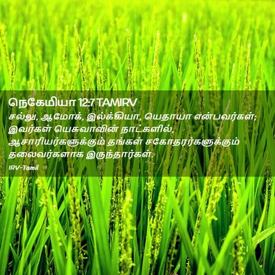 Picture 02 - நெகேமியா 12:7 TAMIRV - சல்லு, ஆமோக், - Bible Verse Picture
