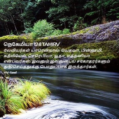 Picture 02 - நெகேமியா 12:8 TAMIRV - லேவியர்கள் - Bible Verse Picture