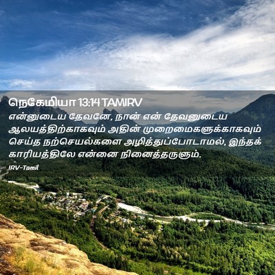 Picture 02 - நெகேமியா 13:14 TAMIRV - என்னுடைய தேவனே, - Bible Verse Picture