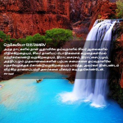 Picture 02 - நெகேமியா 13:15 TAMIRV - அந்த நாட்களில் - Bible Verse Picture