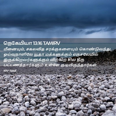 Picture 02 - நெகேமியா 13:16 TAMIRV - மீனையும், சகலவித - Bible Verse Picture