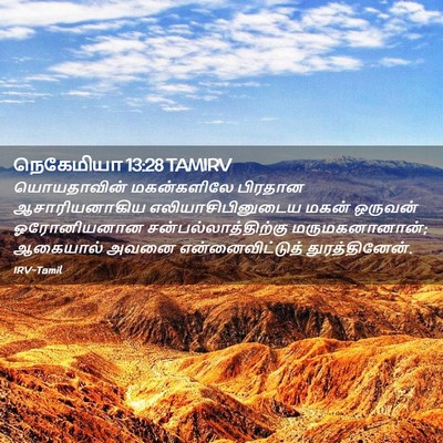 Picture 02 - நெகேமியா 13:28 TAMIRV - யொயதாவின் - Bible Verse Picture