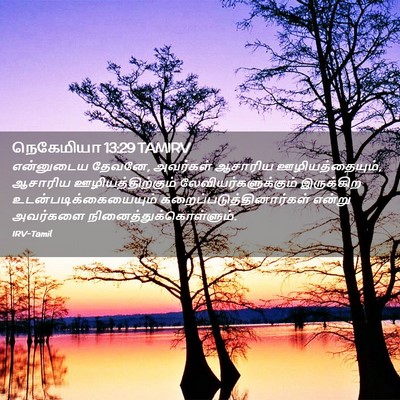 Picture 02 - நெகேமியா 13:29 TAMIRV - என்னுடைய தேவனே, - Bible Verse Picture