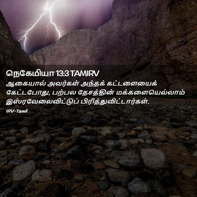 Picture 02 - நெகேமியா 13:3 TAMIRV - ஆகையால் அவர்கள் - Bible Verse Picture