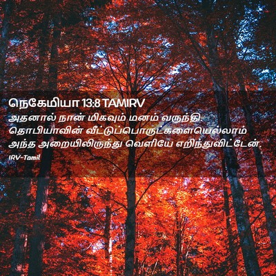 Picture 02 - நெகேமியா 13:8 TAMIRV - அதனால் நான் - Bible Verse Picture