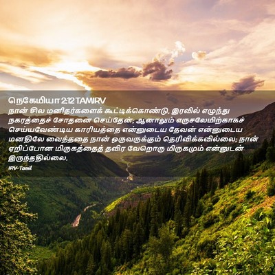 Picture 02 - நெகேமியா 2:12 TAMIRV - நான் சில - Bible Verse Picture