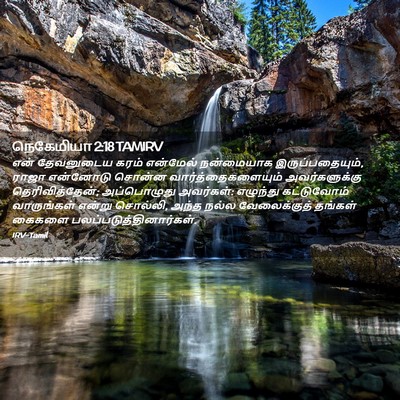 Picture 02 - நெகேமியா 2:18 TAMIRV - என் தேவனுடைய கரம் - Bible Verse Picture