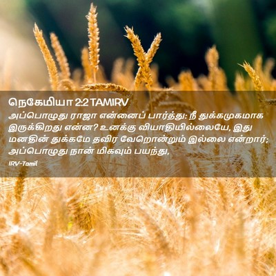 Picture 02 - நெகேமியா 2:2 TAMIRV - அப்பொழுது ராஜா - Bible Verse Picture