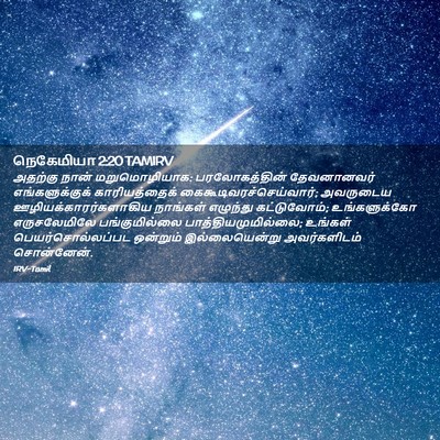 Picture 02 - நெகேமியா 2:20 TAMIRV - அதற்கு நான் - Bible Verse Picture