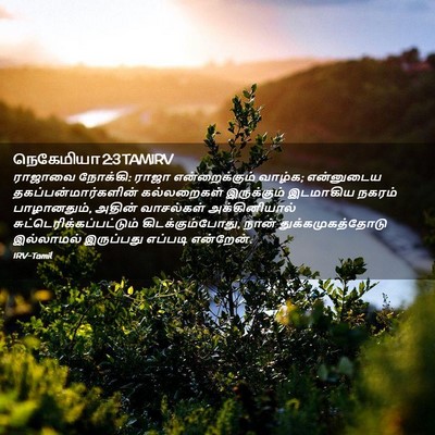 Picture 02 - நெகேமியா 2:3 TAMIRV - ராஜாவை நோக்கி: - Bible Verse Picture