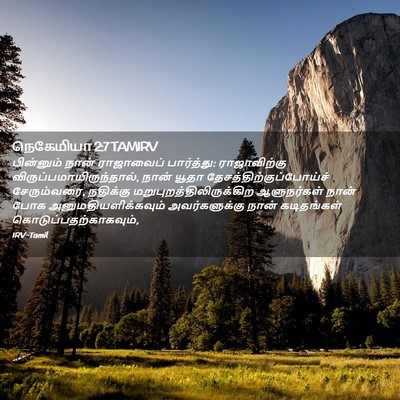 Picture 02 - நெகேமியா 2:7 TAMIRV - பின்னும் நான் - Bible Verse Picture