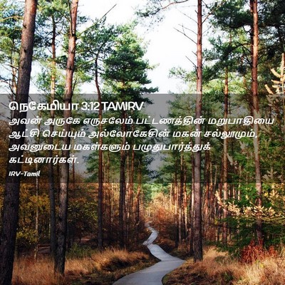 Picture 02 - நெகேமியா 3:12 TAMIRV - அவன் அருகே - Bible Verse Picture