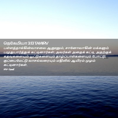 Picture 02 - நெகேமியா 3:13 TAMIRV -  - Bible Verse Picture