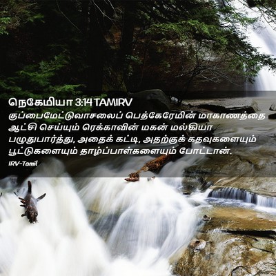 Picture 02 - நெகேமியா 3:14 TAMIRV -  - Bible Verse Picture