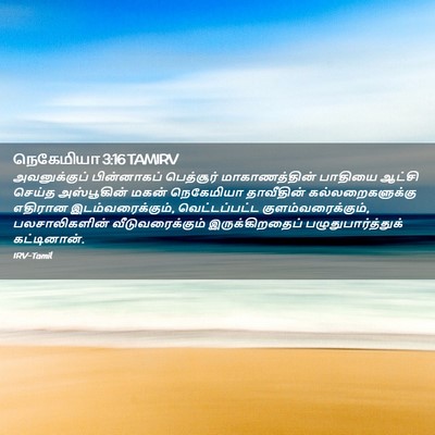 Picture 02 - நெகேமியா 3:16 TAMIRV - அவனுக்குப் - Bible Verse Picture