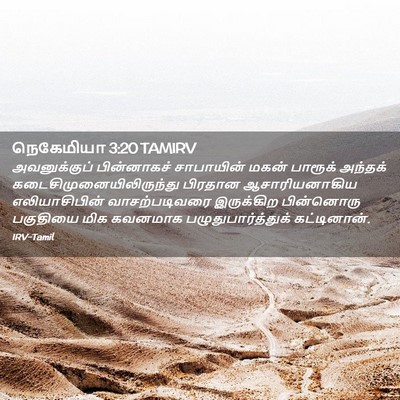 Picture 02 - நெகேமியா 3:20 TAMIRV - அவனுக்குப் - Bible Verse Picture