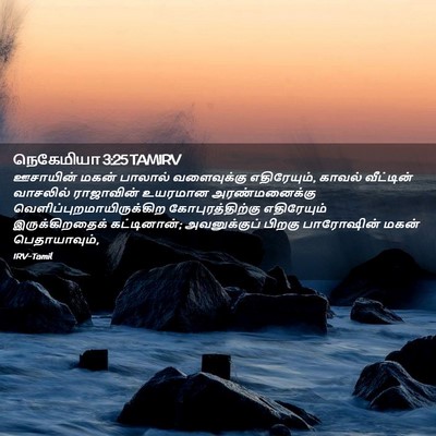 Picture 02 - நெகேமியா 3:25 TAMIRV - ஊசாயின் மகன் - Bible Verse Picture