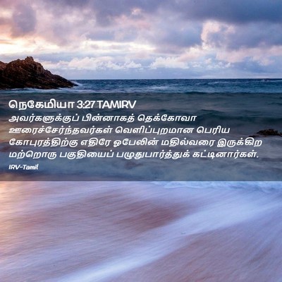 Picture 02 - நெகேமியா 3:27 TAMIRV - அவர்களுக்குப் - Bible Verse Picture