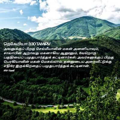 Picture 02 - நெகேமியா 3:30 TAMIRV - அவனுக்குப் பிறகு - Bible Verse Picture