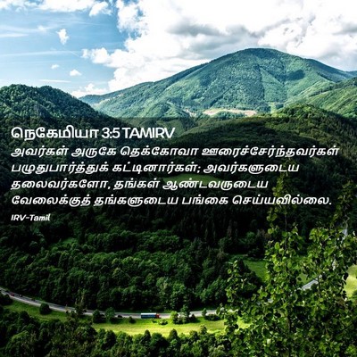 Picture 02 - நெகேமியா 3:5 TAMIRV - அவர்கள் அருகே - Bible Verse Picture