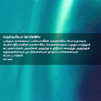 Picture 02 - நெகேமியா 3:6 TAMIRV - பழைய வாசலைப் - Bible Verse Picture