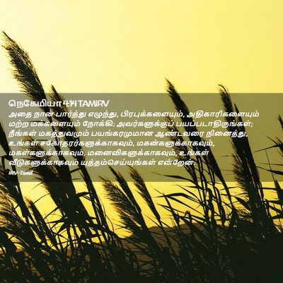 Picture 02 - நெகேமியா 4:14 TAMIRV - அதை நான் பார்த்து - Bible Verse Picture