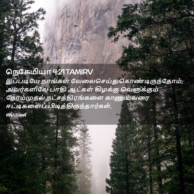 Picture 02 - நெகேமியா 4:21 TAMIRV - இப்படியே நாங்கள் - Bible Verse Picture