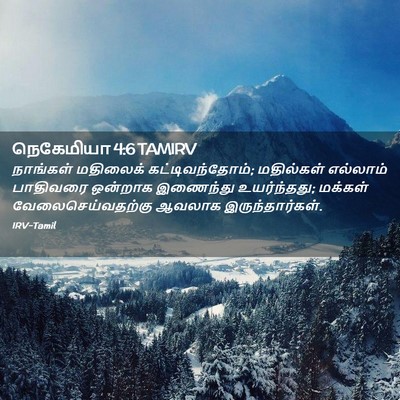 Picture 02 - நெகேமியா 4:6 TAMIRV - நாங்கள் மதிலைக் - Bible Verse Picture