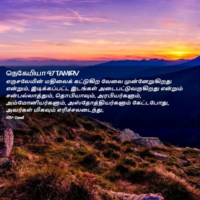 Picture 02 - நெகேமியா 4:7 TAMIRV - எருசலேமின் - Bible Verse Picture