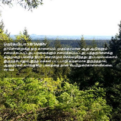 Picture 02 - நெகேமியா 5:18 TAMIRV - நாளொன்றுக்கு ஒரு - Bible Verse Picture