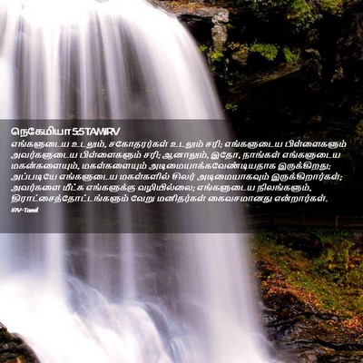 Picture 02 - நெகேமியா 5:5 TAMIRV - எங்களுடைய உடலும், - Bible Verse Picture